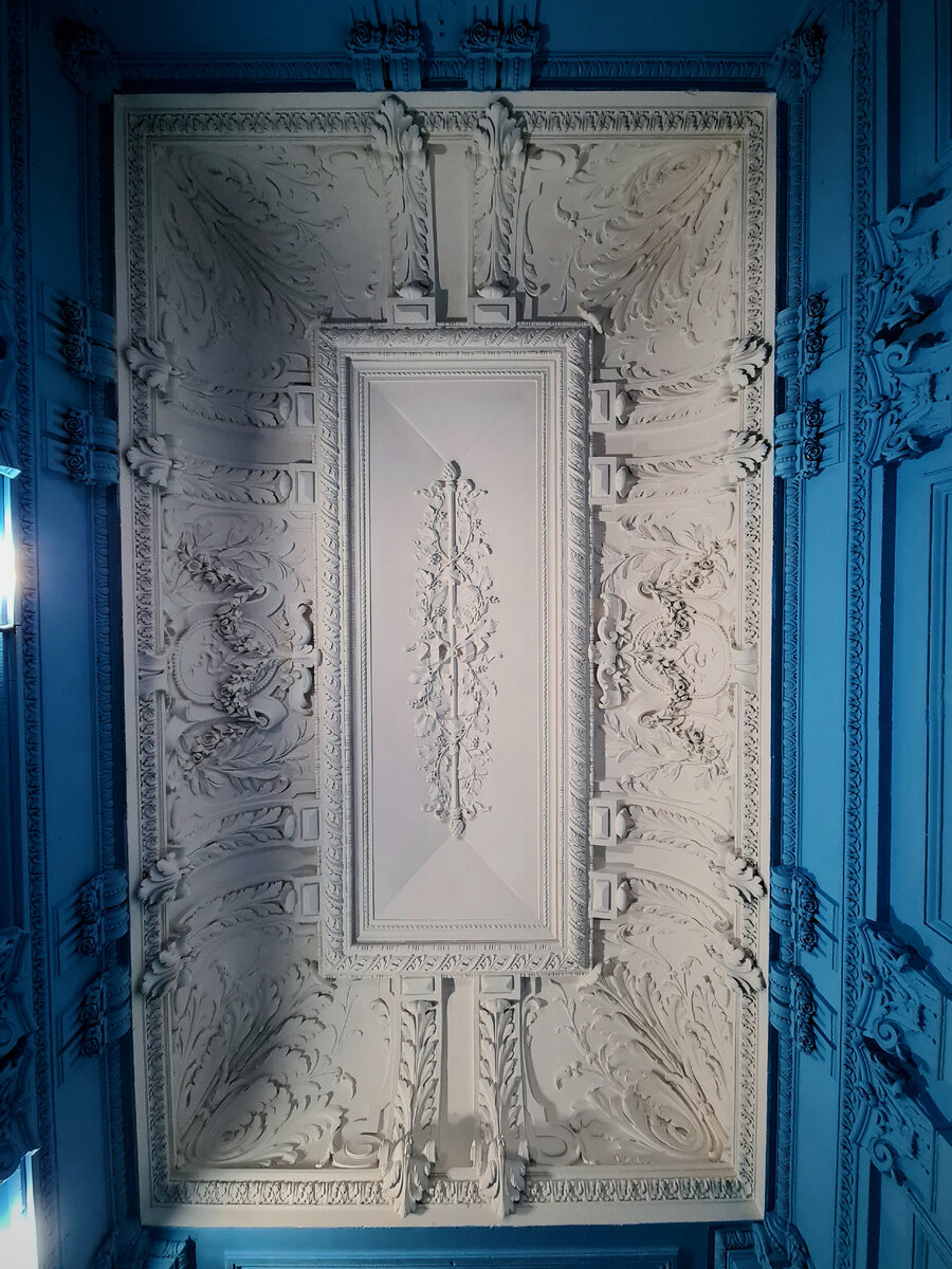 Фото: Парадная гостья