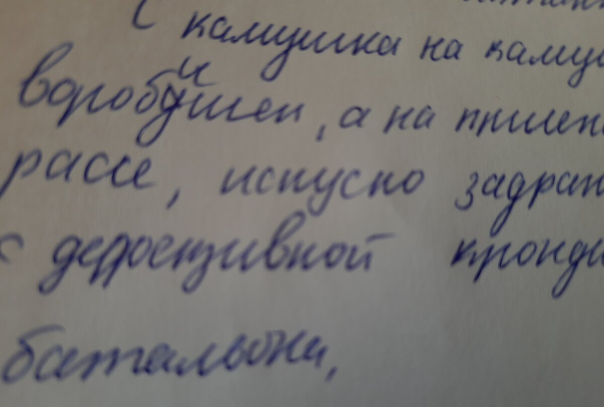 Советский диктант из одного предложения. Моя мама написала без ошибок, а  друзья все накосячили | Возвращение в детство | Дзен