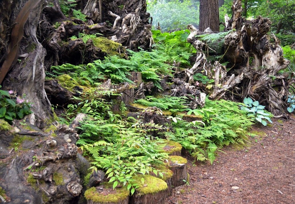 Фото используется по стандартной лицензии ©ekosad-vsem.ru