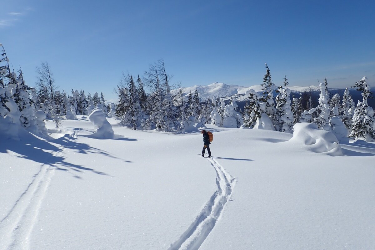 Фото интернет