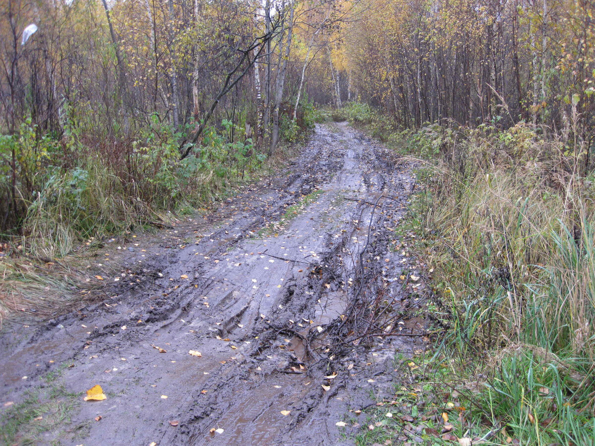Фото этого места 1