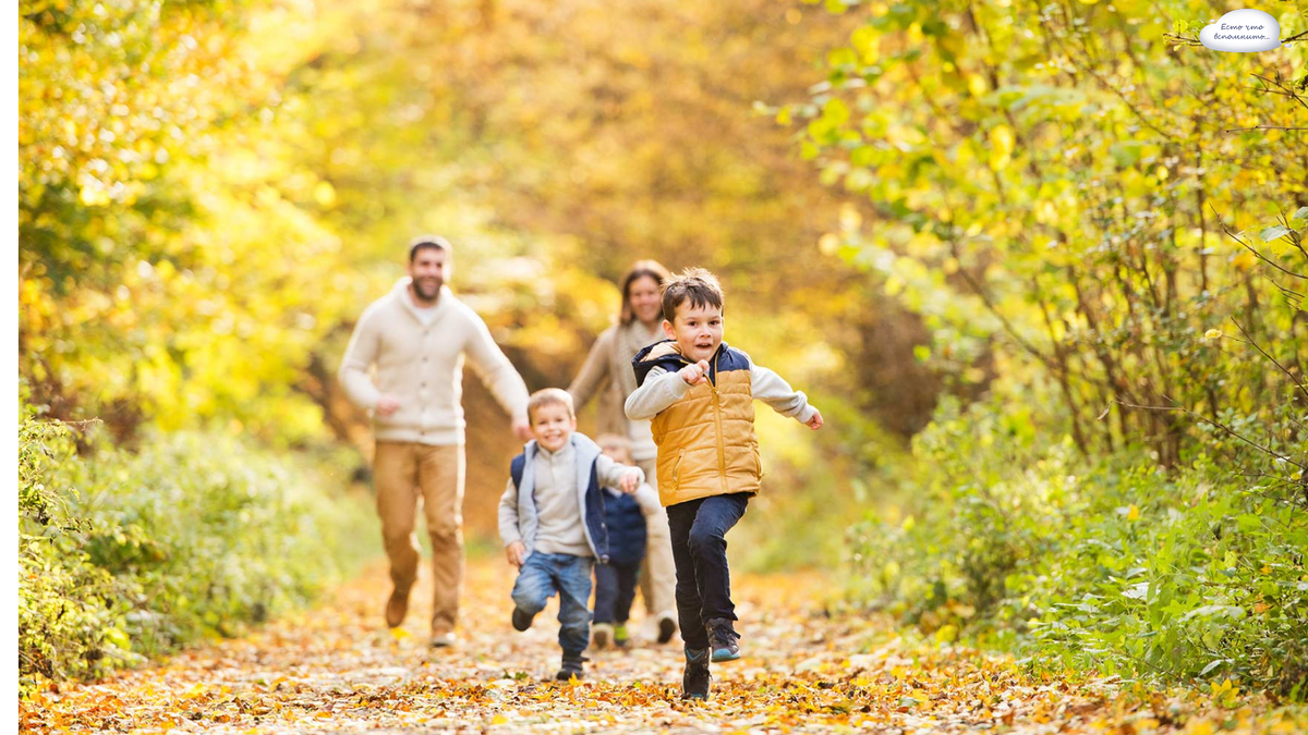 Фото из свободных источников интернета Яндекс.картинки