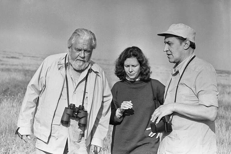 Источник style.rbc.ru