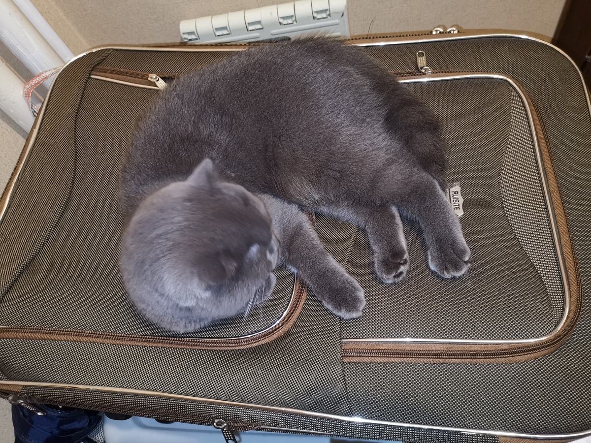 изображение автора