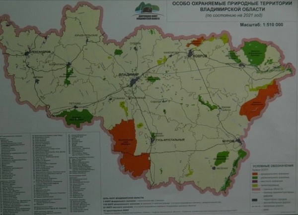 Фото: Владимирские новости
