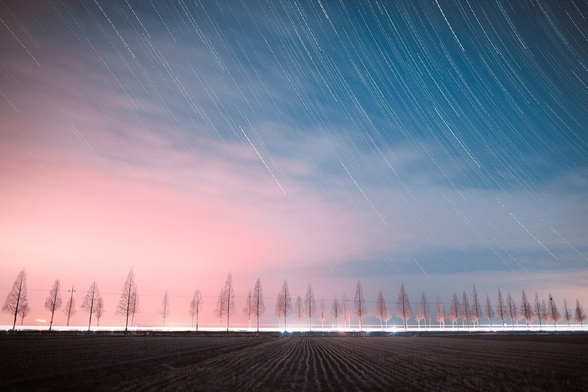 https://pixabay.com/ru/