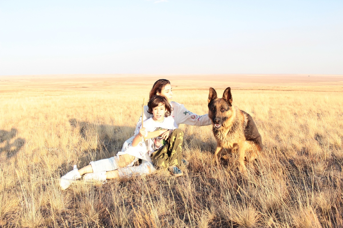 Наша собака