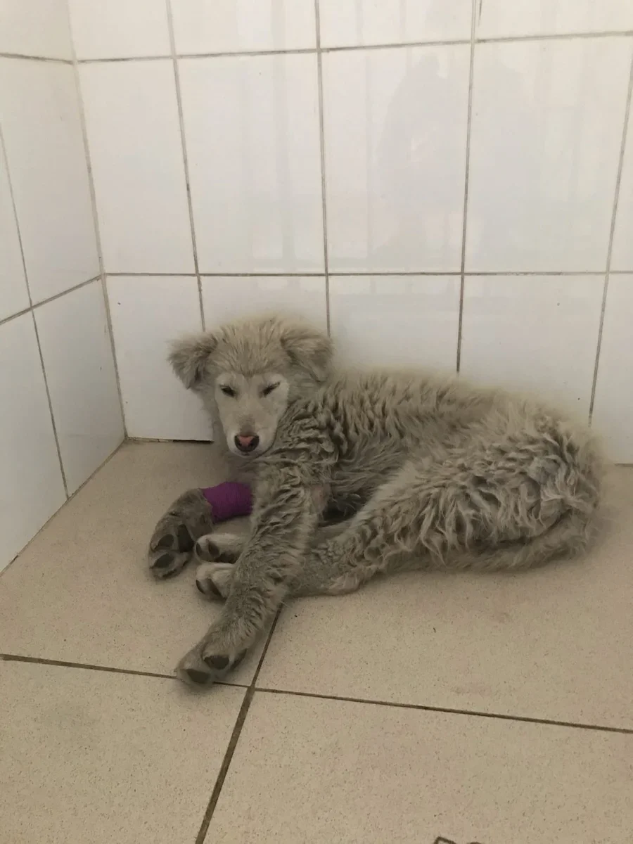 Это мы еще трубачисты)).