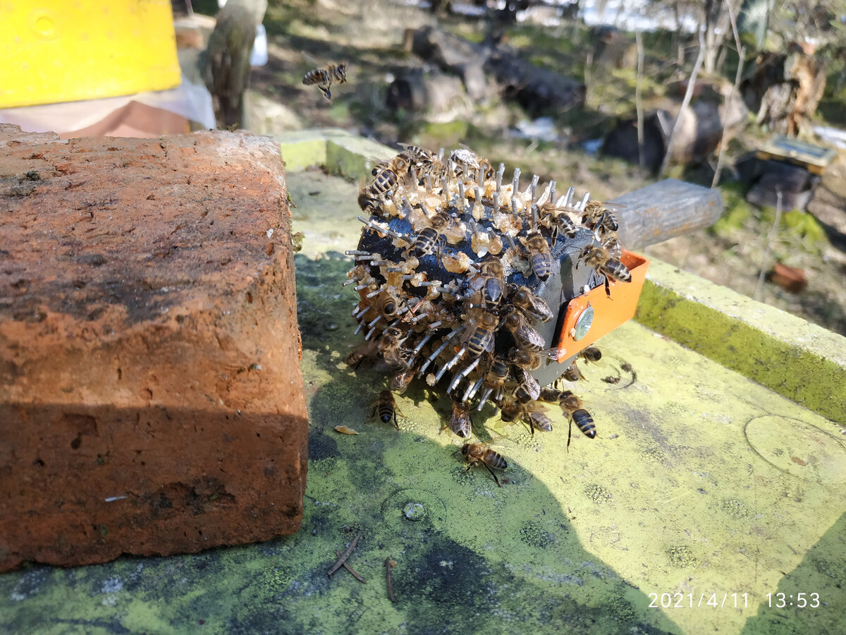 колёсико для вскрывания сотов - крайне нужный инвентарь