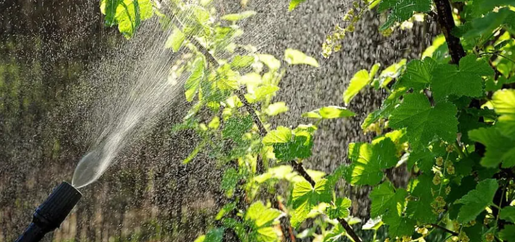 Эффективный опрыскиватель