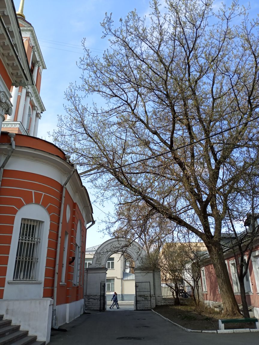 Прогулки по Москве. Храм Живоначальной Троицы в Вишняках.5