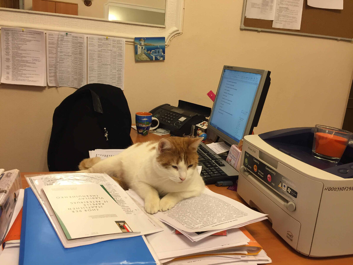 Анджелина за рабочим местом Фото из открытых источников 