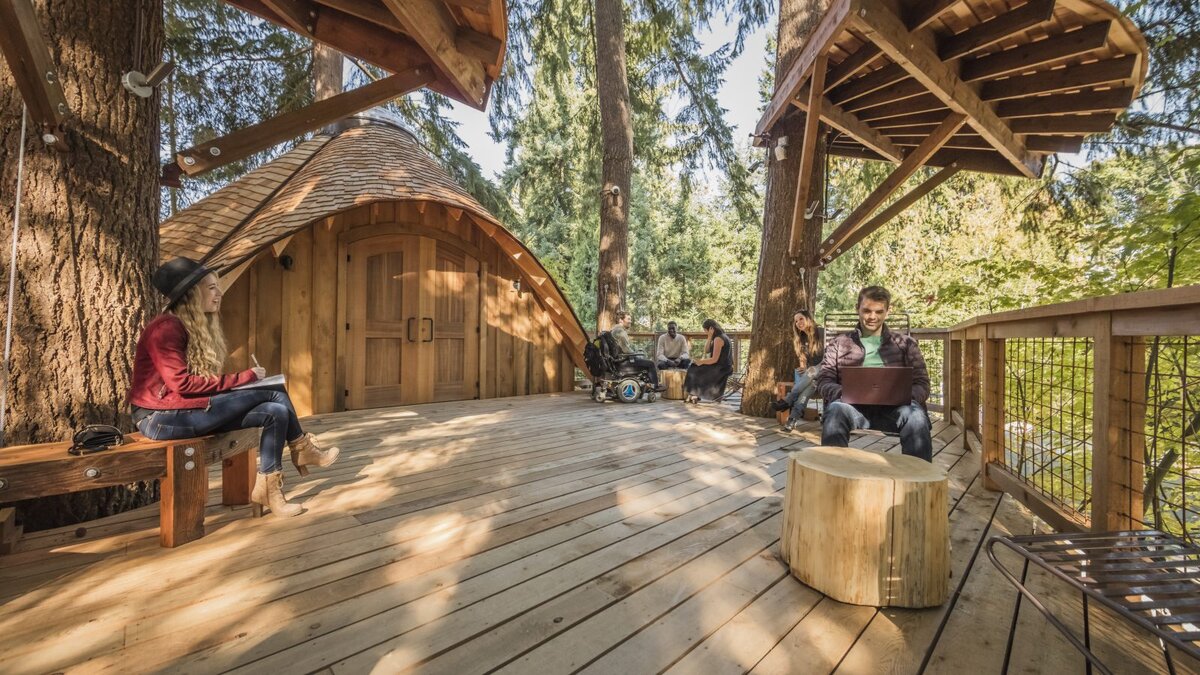 Фото с официального сайта Майкрософт Лайф (https://news.microsoft.com/life/meet-me-in-the-trees/).