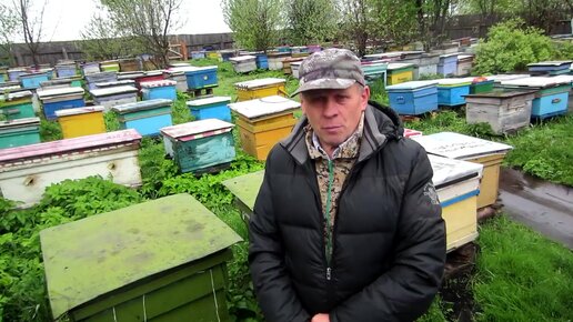 Пасека владимира рябухина