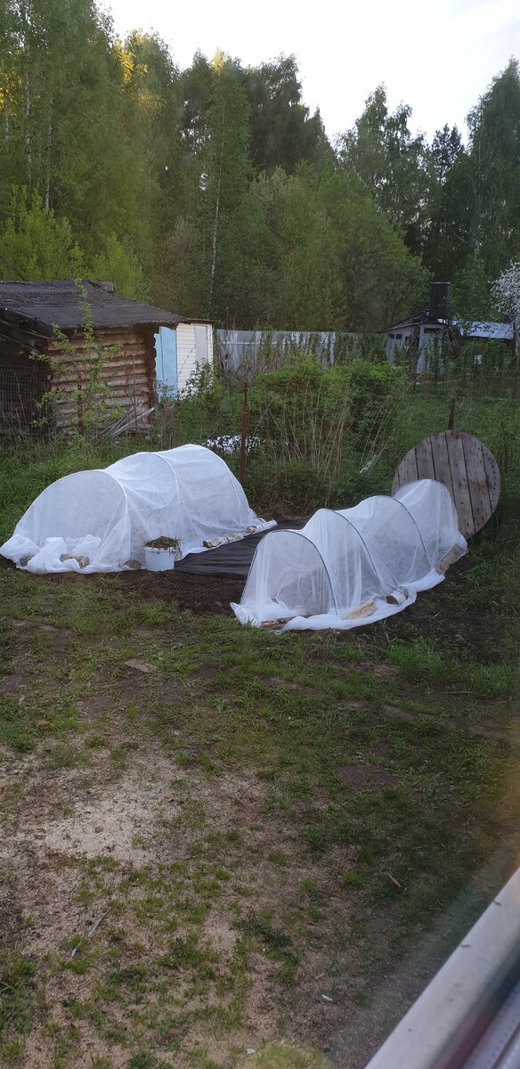 Вот так выглядит мой огород ,криво-косо, страшно)))