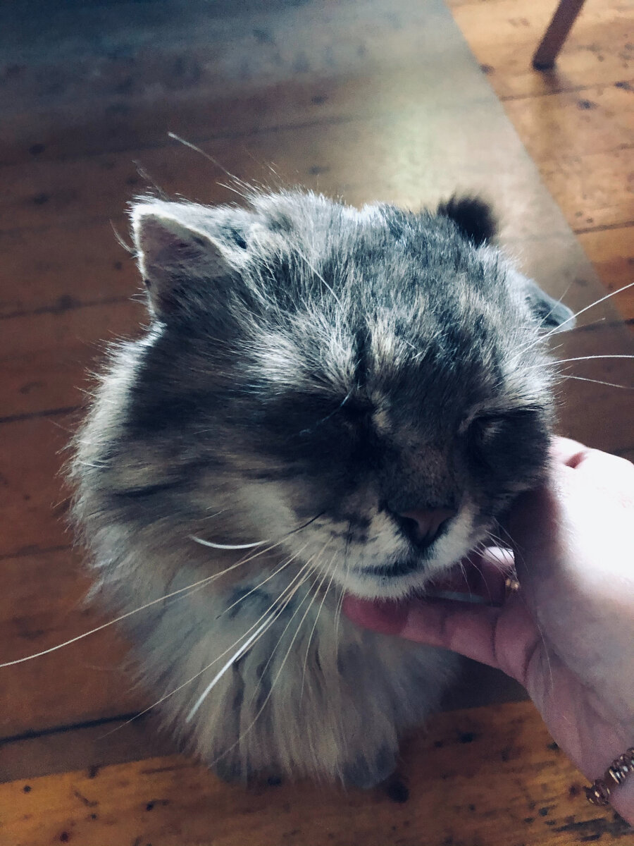 Филя - молодец! 