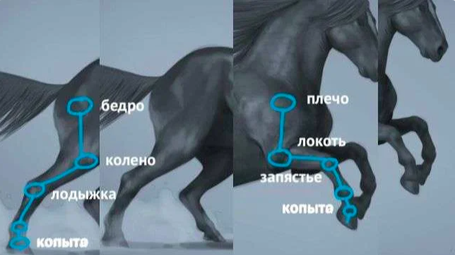 Рисунок: Бобби Чиу