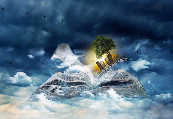 Изображение взято из открытых источников