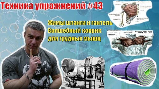 Технология 43 отзывы. Millennium Dumbbell.