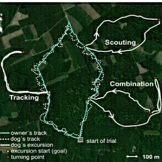 Маршруты стратегии разведки, следопыта и комбинированной