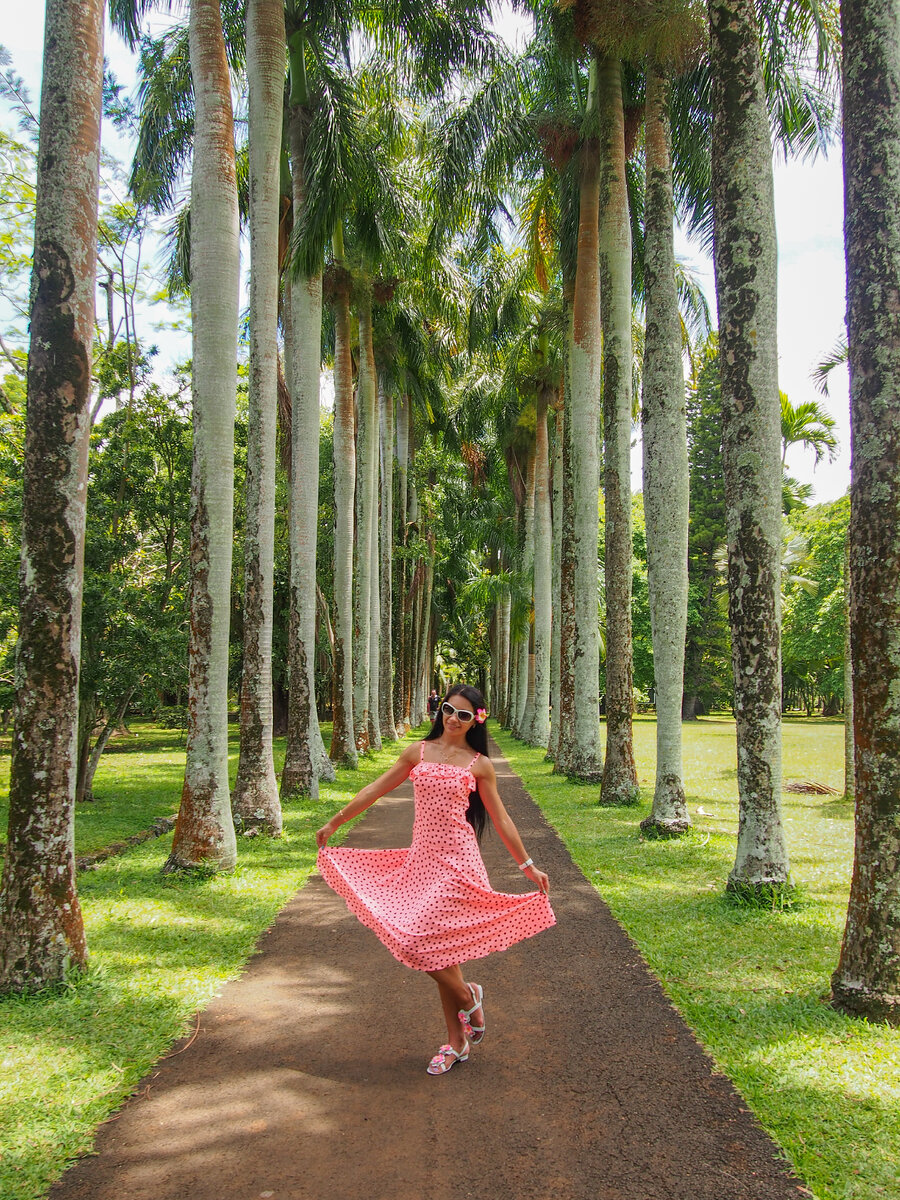 Что посмотреть на Маврикии. Обзор мест, которые запомнились мне больше ...