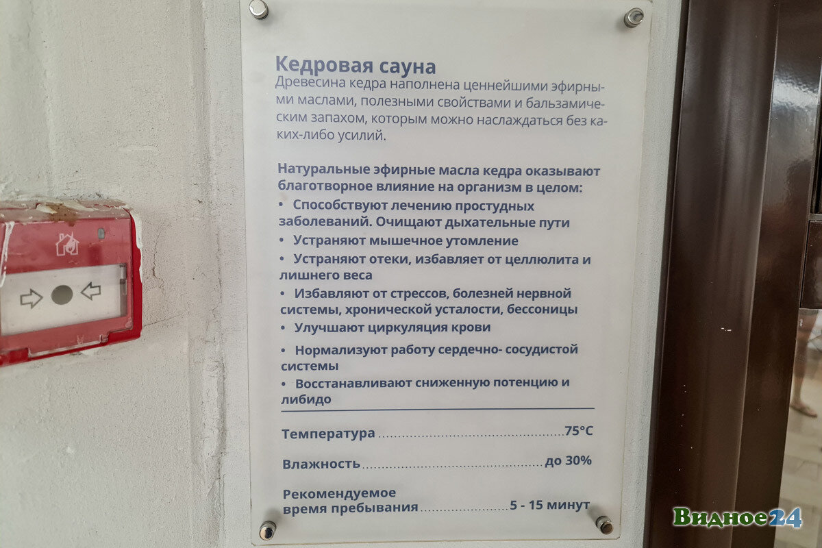 В Видном открылся круглогодичный городской курорт под открытым небом «Термы  Видное». Фоторепортаж | Видное 24 | Дзен