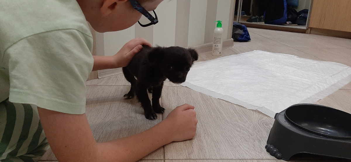 Бетти адаптируется в новом доме. Пока очень осторожна со всеми.