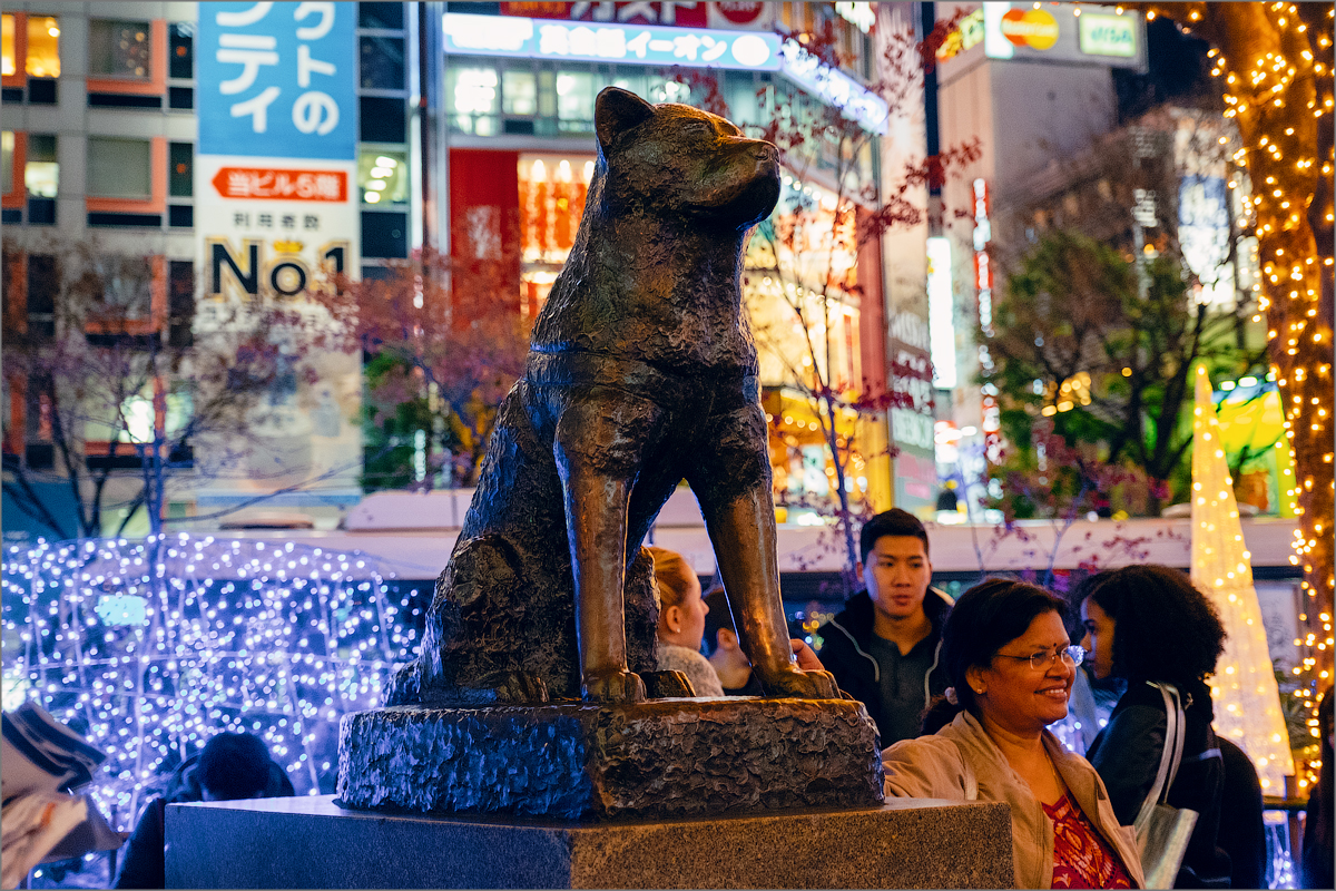 Хатико адрес. Статуя Хатико в Токио. Памятник Хатико в Токио. Станция Сибуя Хатико. Памятник Хатико на станции Сибуя.