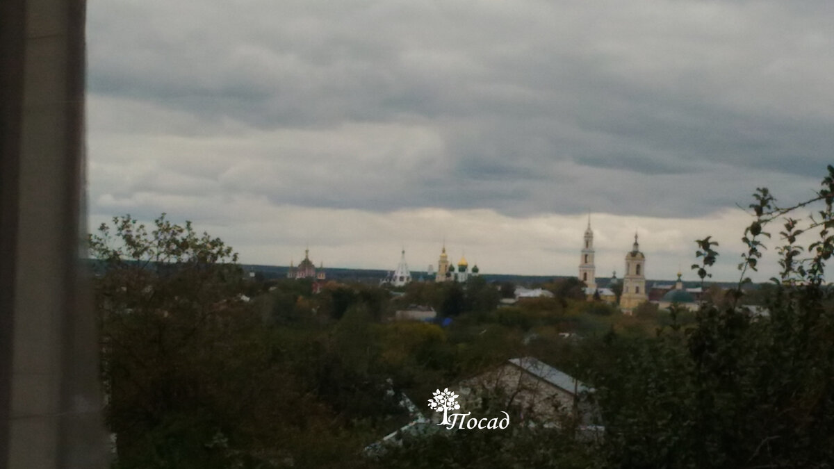 На третий год из потолка дачного дома посыпались горошки. Думали, мыши, но  всё оказалось гораздо хуже | Посад | Дзен