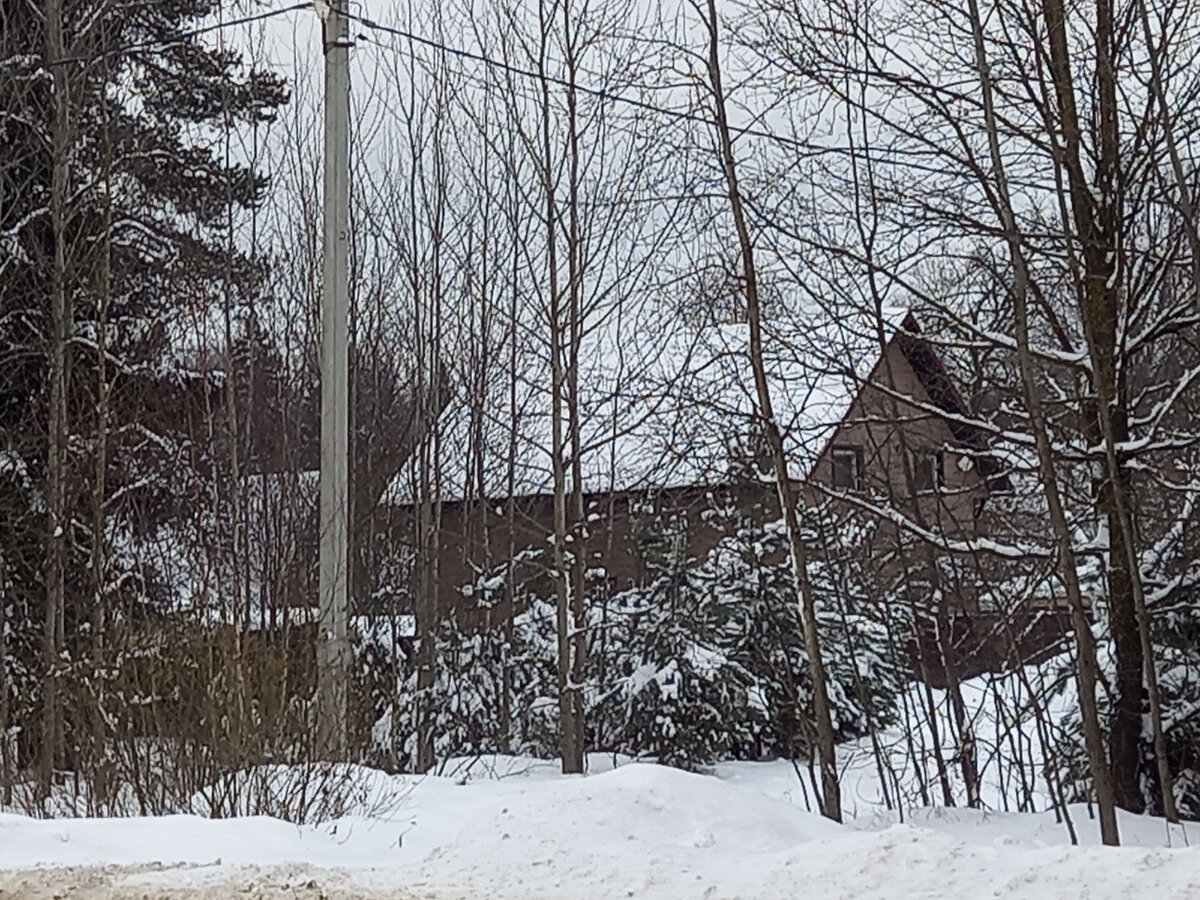 Дом среди заснеженного леса. Фото автора.
