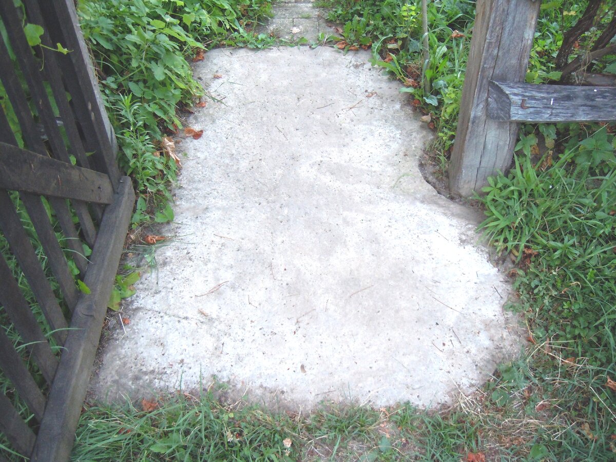 4 сентября 2014 года Теперь о другом. Сейчас на самой восточной Богатырской поляне работают лесозаготовители. Ниже показаны результаты их деятельности.-11