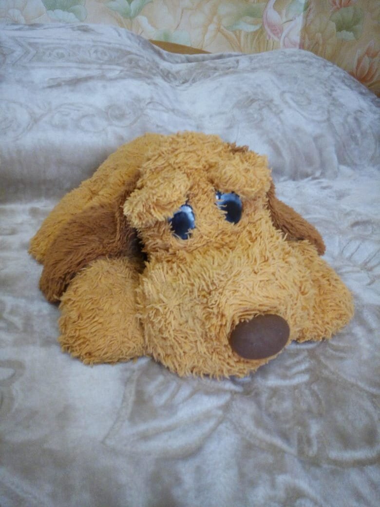 Кузя. Фото Владимира Курочкина 