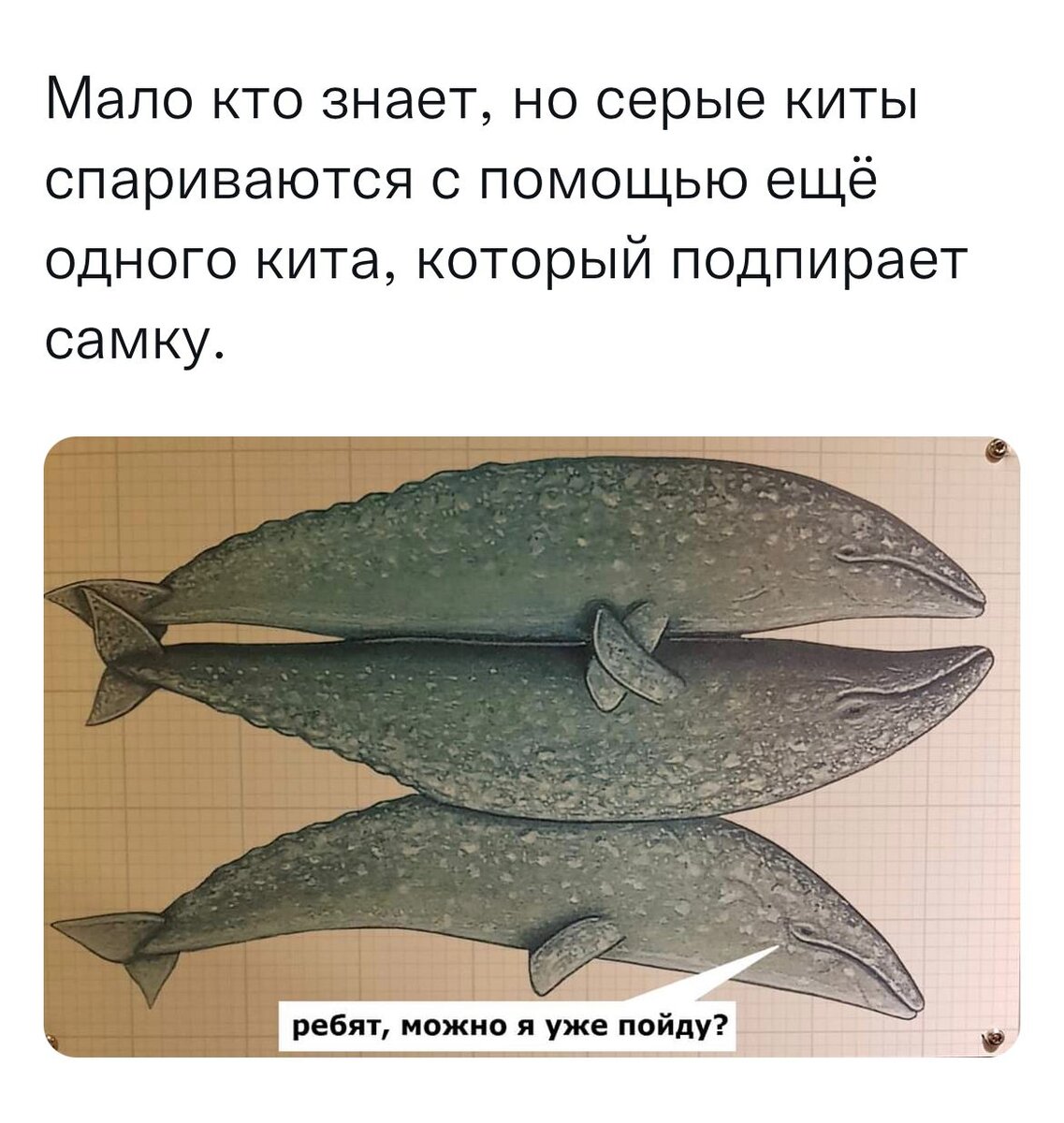 С просторов интернета 