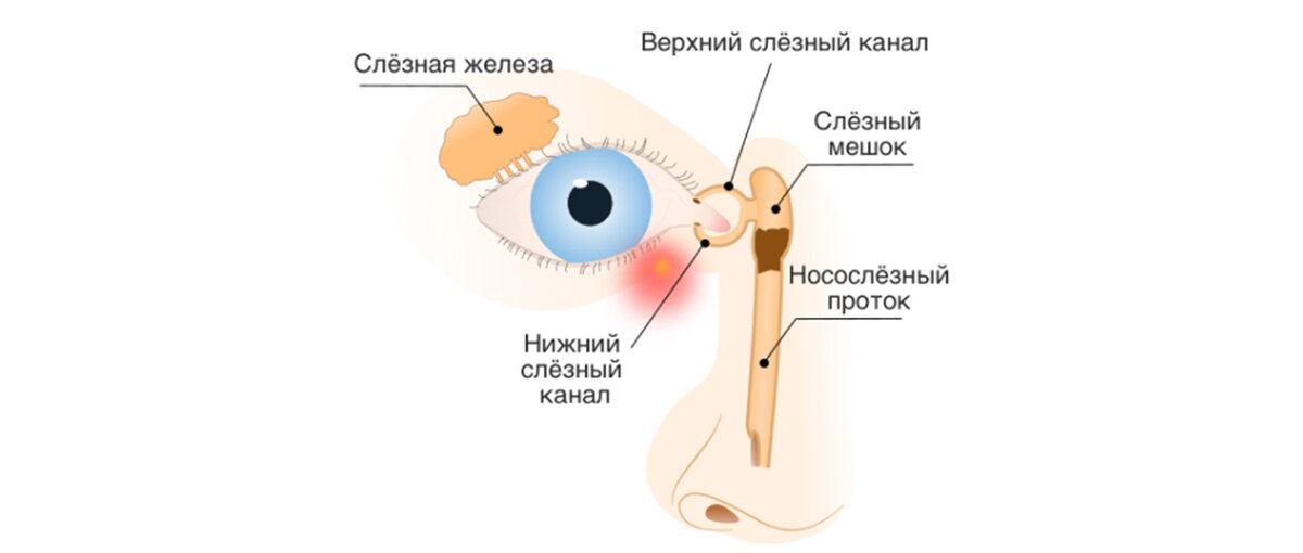 Советы по правильной гигиене глаз у новорожденного ребёнка