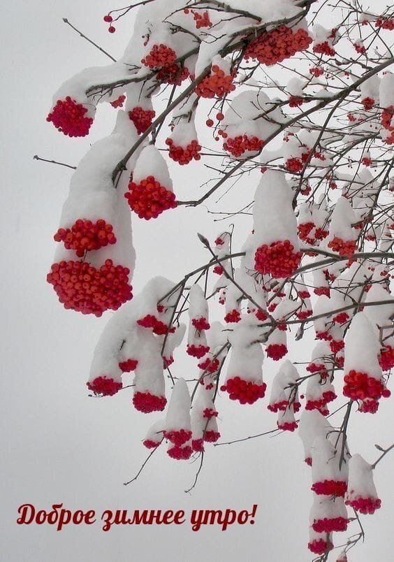 Просто для настроения 