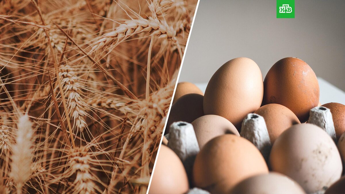    Фото: Mathias Reding, Jakub Kapusnak / Unsplash