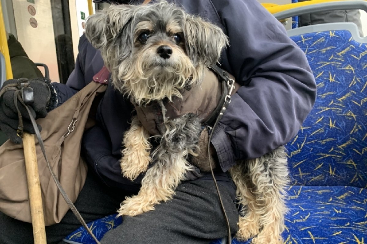    В Уфе 18 января пройдут проверки пассажирского транспорта