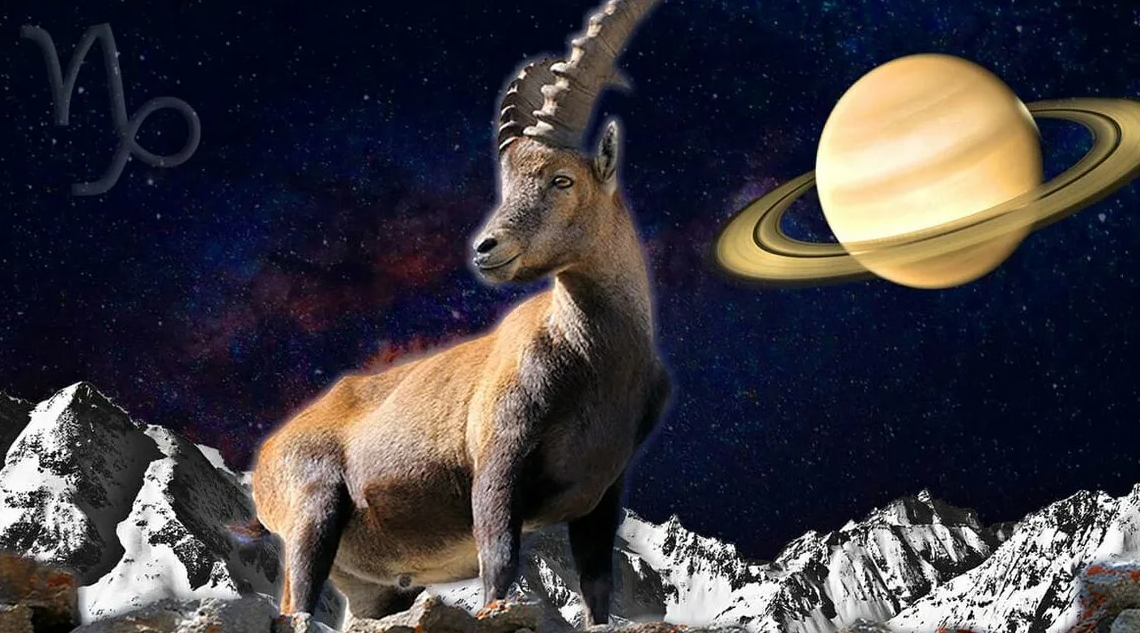 Яндекс картинки