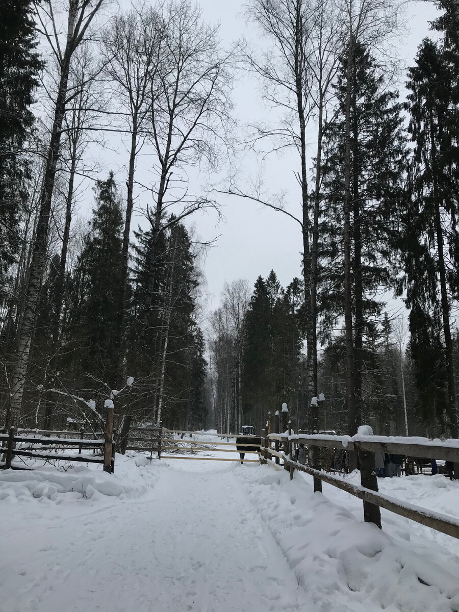 Красота и атмосфера подворья 😍2021г.