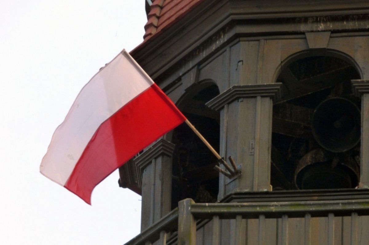    Посол РФ в Польше: Россию не пригласили на годовщину освобождения Освенцима