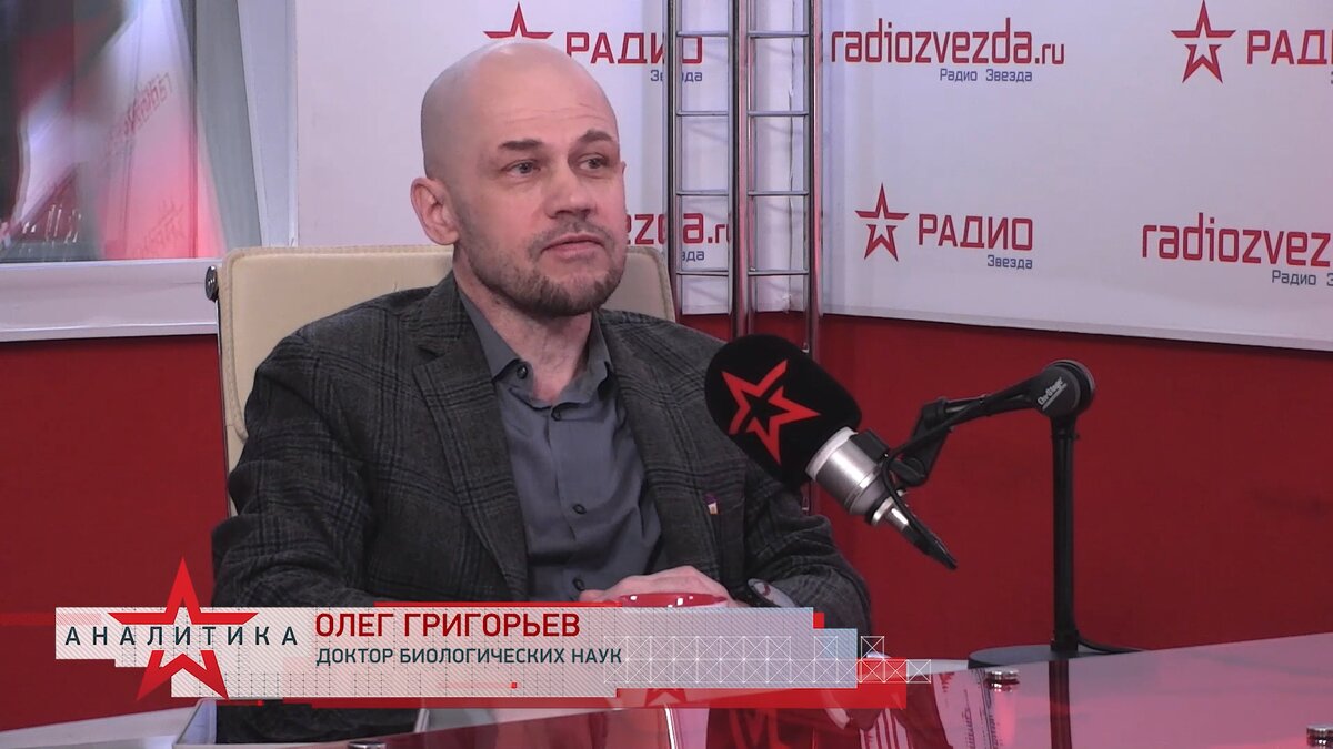 Олег Григорьев, доктор биологических наук, председатель Российского комитета защиты от неионизирующих излучений в программе «Стратегия национальной безопасности» с Анной Шафран на радио «Звезда».