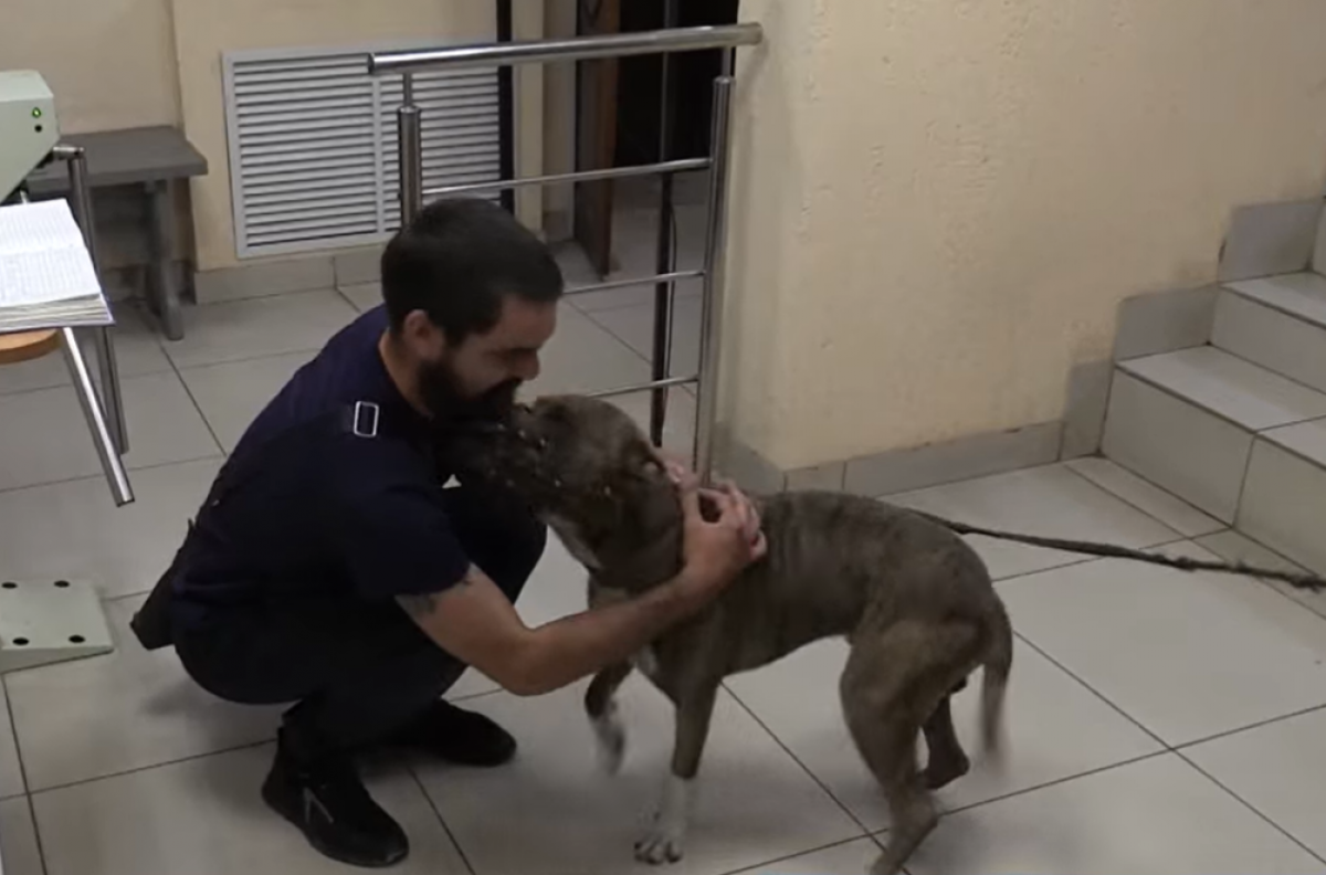    В Новосибирске мужчина пойдёт под суд за похищение стаффа на Речном вокзале