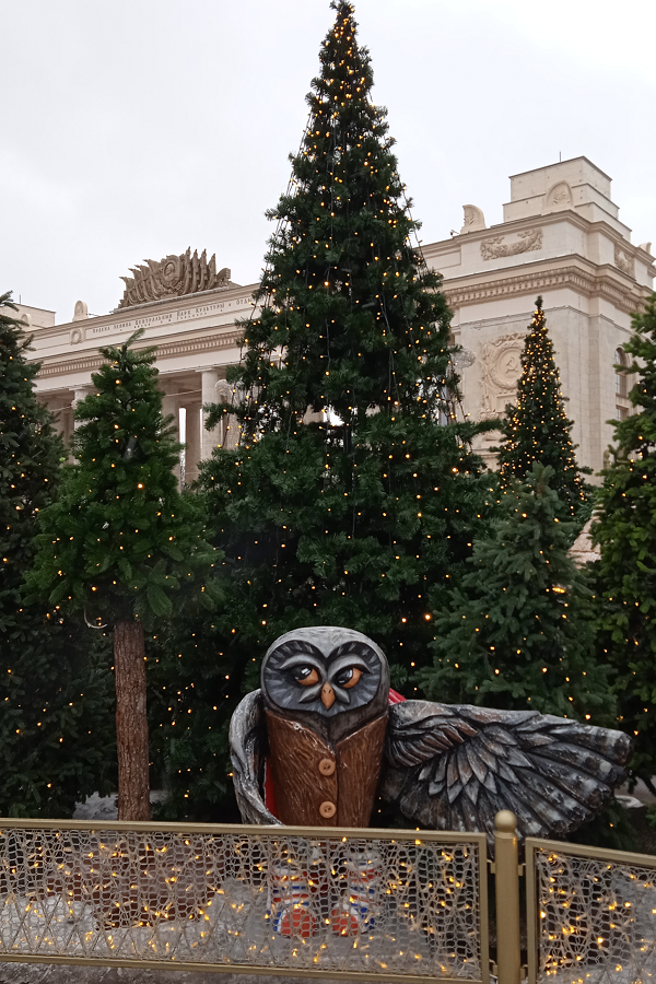 Фото автора