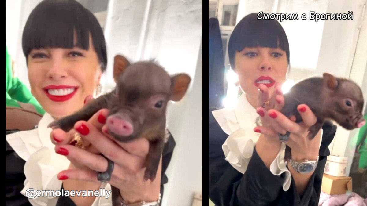 Нелли Ермолаева отметила День рождения сына и подарила ему свинью, инстаграм