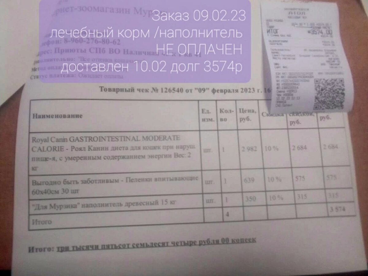 © ВСЕ ОТТЕНКИ КОШАЧЬЕГО 