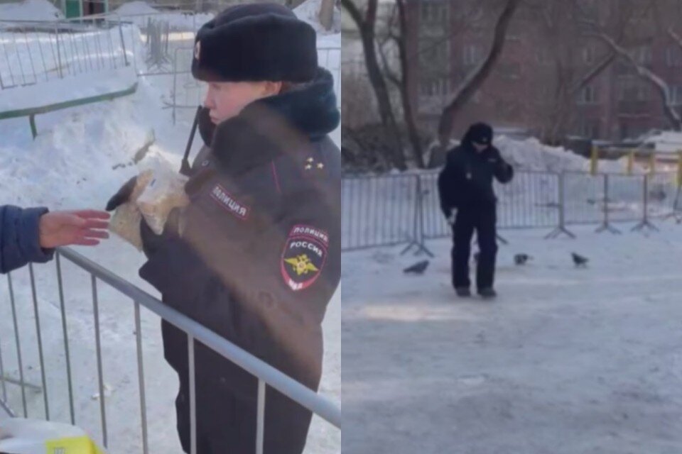    Сотрудница полиции пресекла возмущения жильцов и сама покормила голубей. Фото: стоп-кадры видео Юлии Александровой.