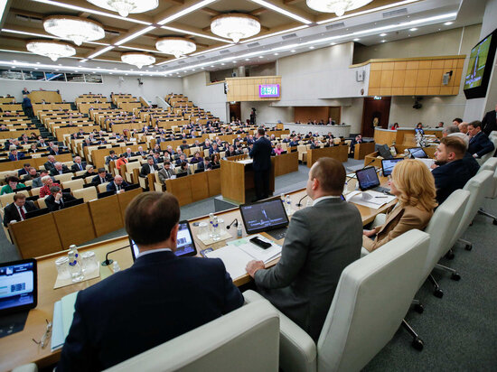     Фото: duma.gov.ru