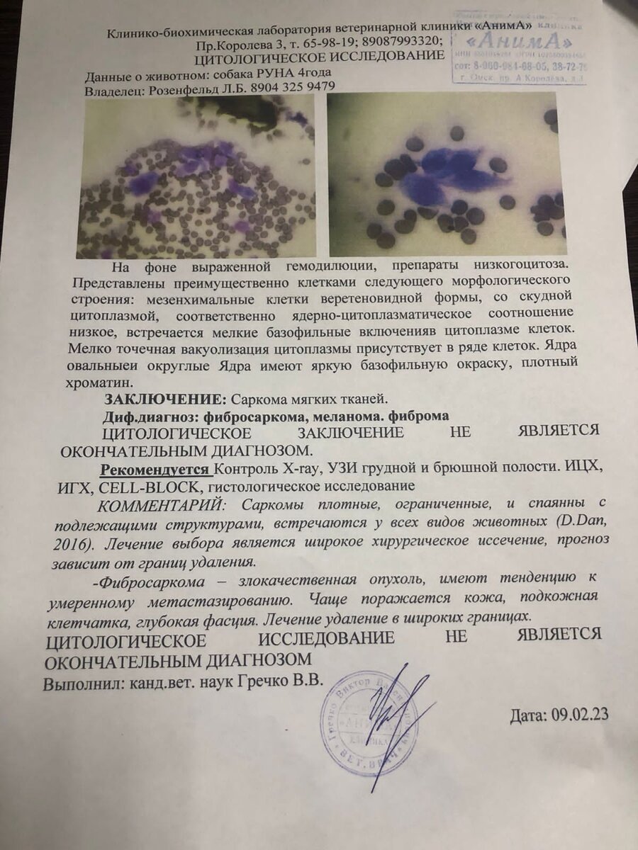 Документы о постановке диагноза