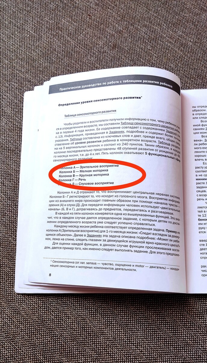 Сферы сенсомоторного развития, которые оцениваются в таблице, приложенной к книге. 