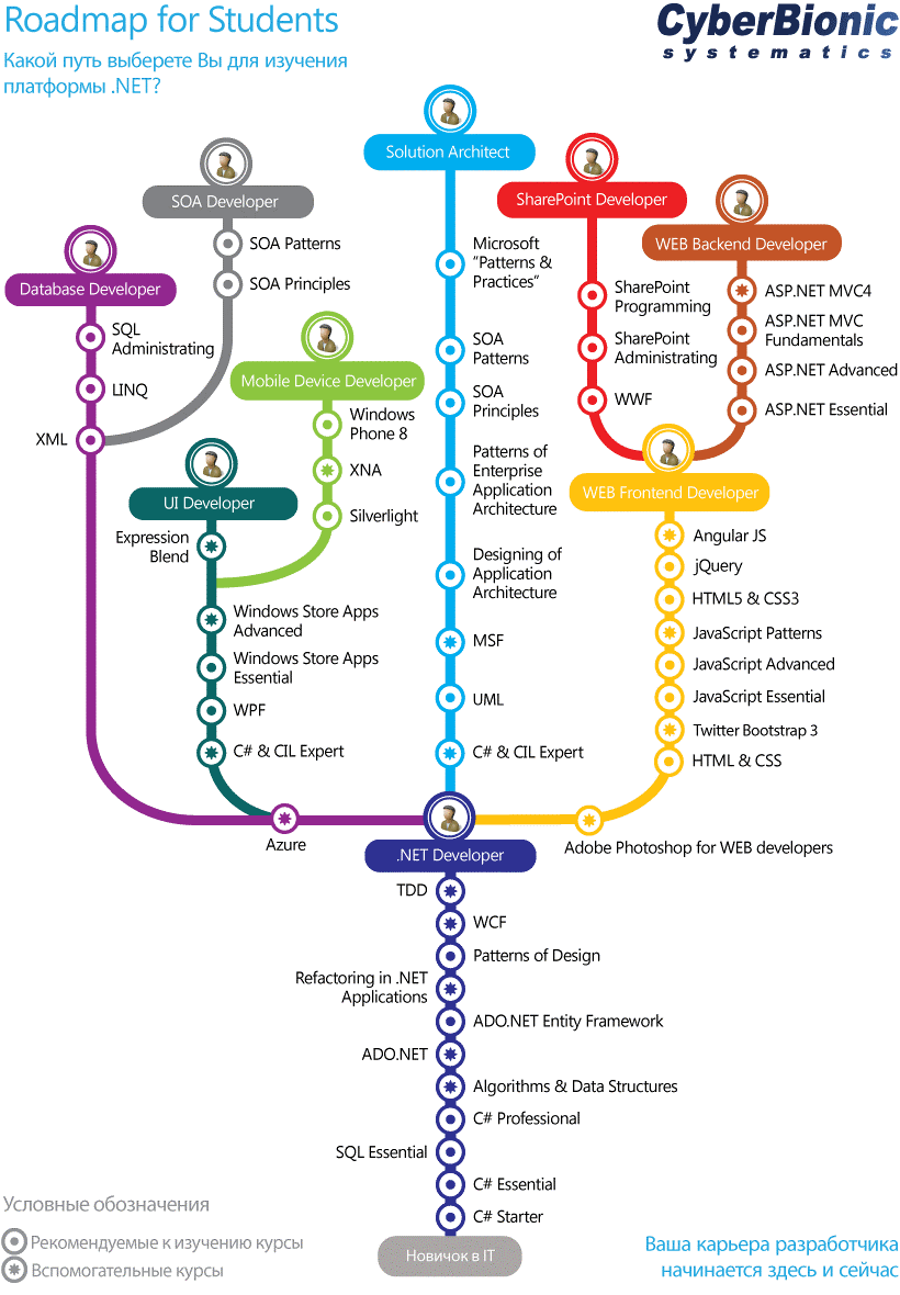 Путь изучения. Карта развития java разработчика. Карта изучения программирования. Карта развития программиста c. Карта развития веб разработчика.